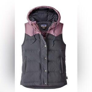 Patagonia Puffer Hooded Vest